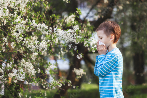 Boy sneezes in the park against the background of a flowering tree because he is allergic .