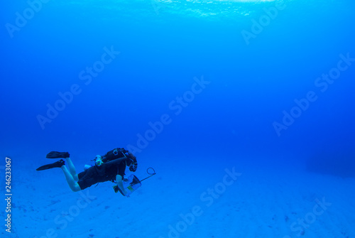 A scuba diver using rebreather equipment can be seen swimming slowly through the very calm water in Grand Cayman. The diverr has equipment to cull invasive lionfish. The water is warm so the diver doe