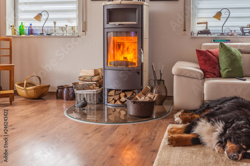 HDR brennender Kamin im Wohnzimmer mit schlafendem Hund davor