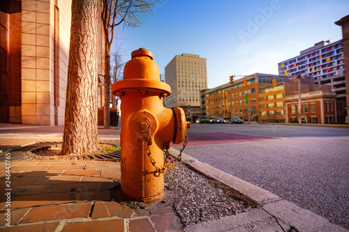 Fire hydrant on sidewalk of Baltimore city, USA