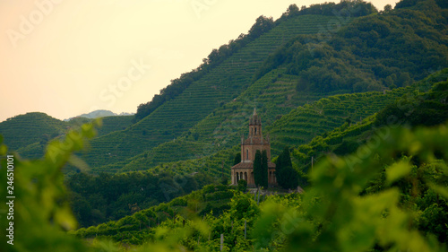 View of the green Prosecco wine hill - Saint Martin Temple - Tempio di S. Martino - Conegliano Valdobbiadene - Strada del Prosecco