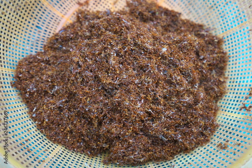 Preah Vihear,Cambodia-January 9, 2019: Weaver ants or tailor ants or Oecophylla smaragdina sold at Preah Vihear Market in Cambodia. Their formic acid is used to add acid taste to foods.