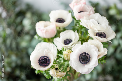 pink and white anemones in glass vase. Bunch pastel color. the concept of a florist in a flower shop. Wallpaper.