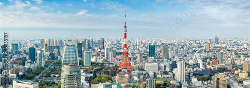 Tokyo Panorama mit Tokyo Tower, Japan