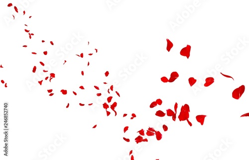Red rose petals fly into the distance