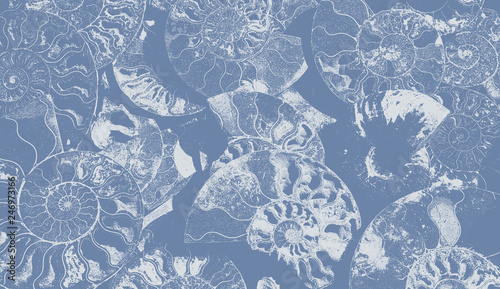 Abstract background of fossil Ammonites, Ammonoidea. Decorative wallpaper of petrified shells. Print from white textured spirals of seashells on blue backdrop. Stamps of Cephalopoda mollusks.