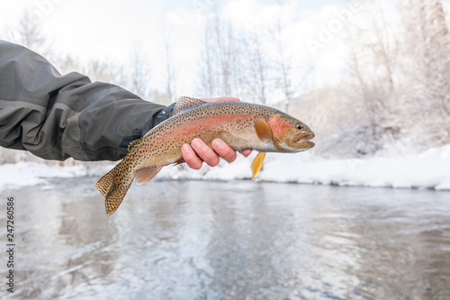 Winter Fly Fishing