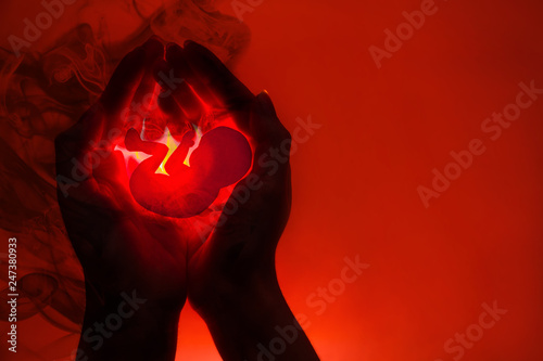 silhouette of female hands and application in the form of an embryo.The concept of abortion . Hands dissolve in the black smoke