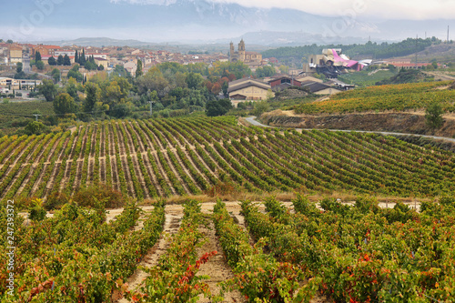 ountryside town of elciego and autumn vineyards in la rioja, Spain