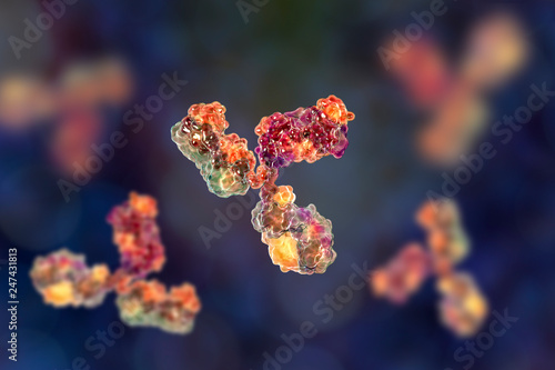 Molecular model of antibody taking part in immune defense. Molecule of immunoglobulin, 3D illustration