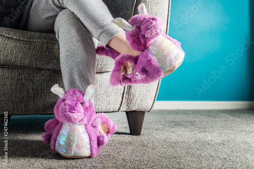Young girl is wearing cute soft 3d dragon slippers