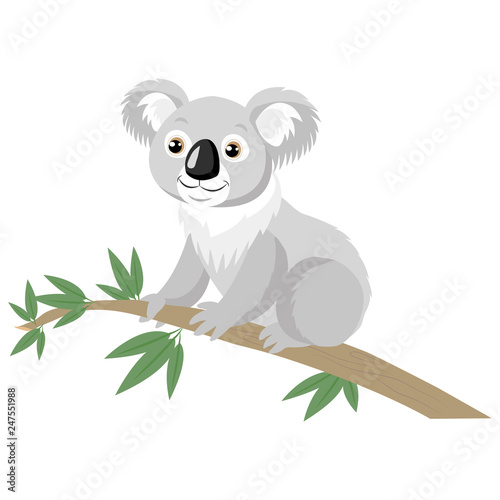 Koala Bear On Wood Branch With Green Leaves. Australian Animal Funniest Koala Sitting On Eucalyptus Branch. Cartoon Vector Illustration. Koalas Are Not A Type Of Bear.