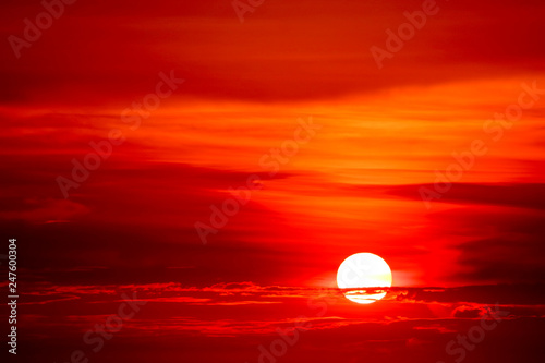 sunset and colorful flame cloud silhouette tree on red sky