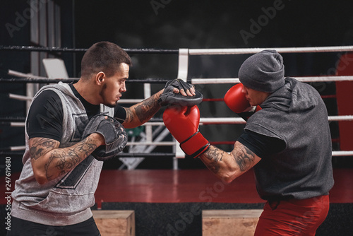 Good uppercut to the paw. Side view of muscular athlete in boxing gloves training on boxing paws while standing in boxing gym