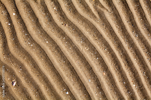 Yellow golden sand on sea beach top view close up, ribbed dry sand surface pattern, wavy curved diagonal lines texture, abstract curves background, desert light and shadow landscape, arid soil design