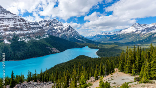 Peyto Lake - A panoramic view of bright blue Peyto Lake surrounded by dense evergreen forest and snow-covered high mountains on a cloudy Spring day at Banff National Park, AB, Canada.