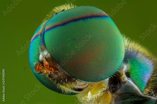 The extreme close up of macro photography