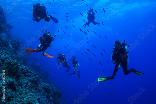 Diving the Red Sea, Egypt