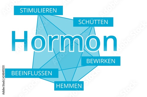 Hormon - Begriffe verbinden, Farbe blau