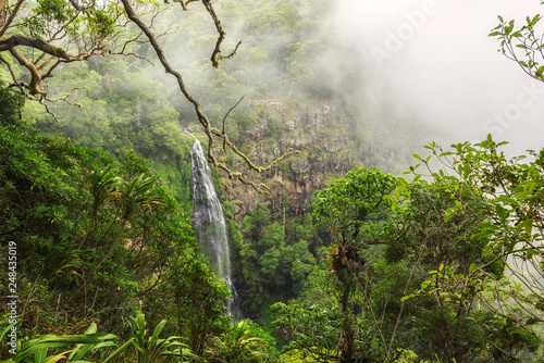 Morans falls on Morans Creek in Gondwana Rainforests, Queensland, Australia