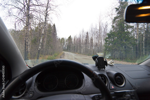 view from the driver's seat of the car to the forest road