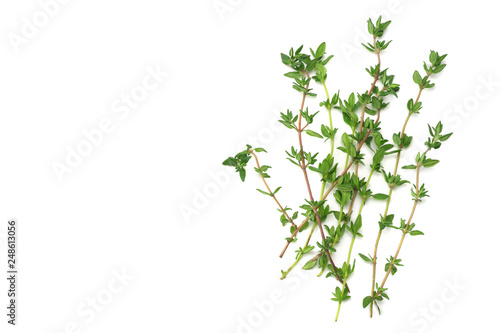 green thyme bunch isolated on white background.