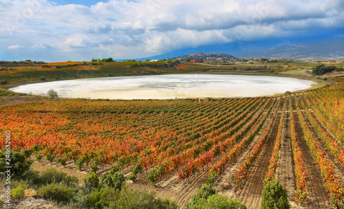Autumn Vineyards and dry Carralogrono lake with Laguardia village at background, Spain