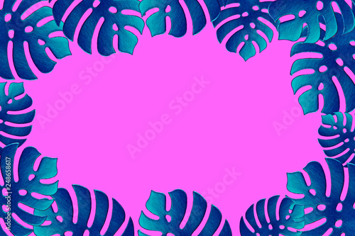 Colored monstera plant background. Monstera leaves on plastic pink background. Summer minimal concept. Space for text