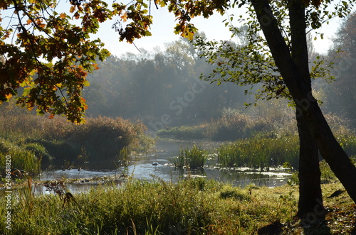 Jesienny poranek w parku, Park Wschodni, Wrocław