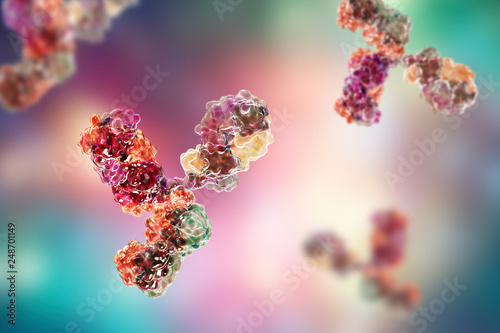 Molecular model of antibody taking part in immune defense. Molecule of immunoglobulin, 3D illustration