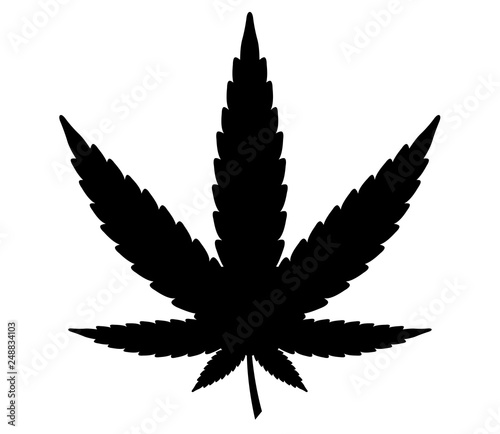 Cannabis or marijuana leaf icon