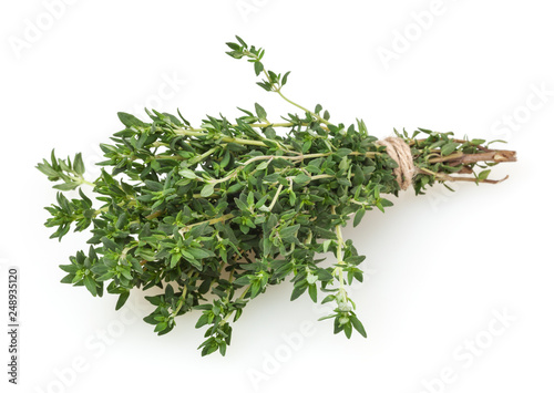 Fresh thyme bunch isolated on white background