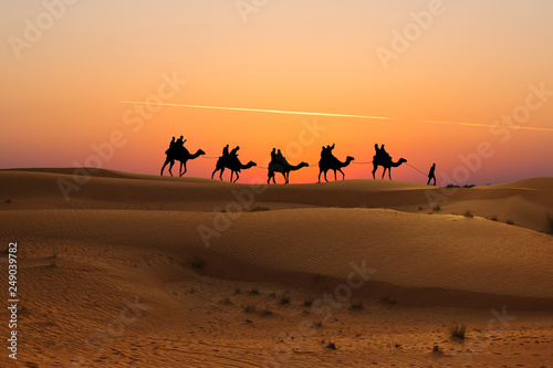 Camel caravan with tourists at sunset in Arabian Dessert
