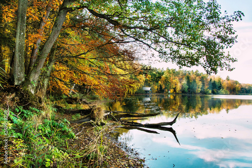 Piękny jesienny krajobraz, jezioro i las