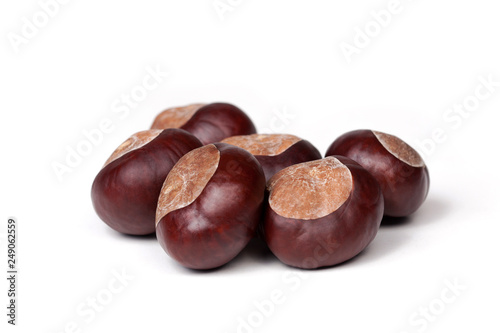 Small pile of fresh chestnuts, many conkers isolated on white background, closeup