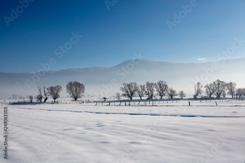 Bolu / Turkey, winter snow natural park landscape