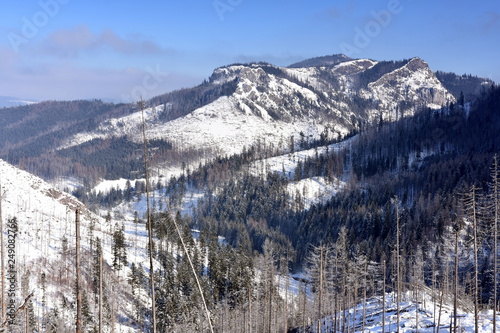 Dolina Koscieliska Tatry Zachodnie Tatrzański Park Narodowy zima TPN Góry 