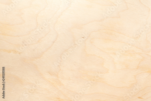 Real natural light birch plywood. High-detailed wood texture.
