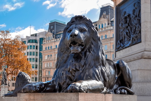 Trafalgar square lion at Nelson column, London, UK