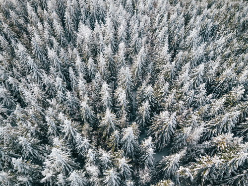 Szczyrk Las Zimą z powietrza