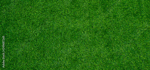 grass field background, green grass, green background