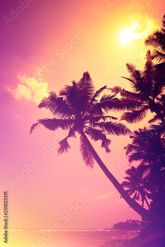 Tropical coast sun down. Sunset beach vintage toned. Coconut palm tree silhouette.