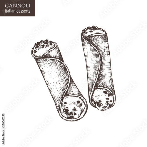 Hand drawn cannoli illustration on white background. Vector Italian pastries with sweet ricotta creams. Vintage desserts sketch for cafe or restaurant menu design.