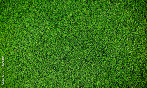 Artificial grass background