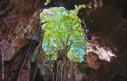 Collapsed Roof of The Cathedral Cave on Bahama Island of Eleuthera