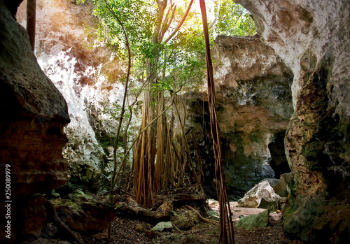 Collapsed Roof of The Cathedral Cave on Bahama Island of Eleuthera