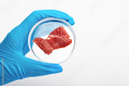 Scientist holding Petri dish with synthetic meat sample on white background