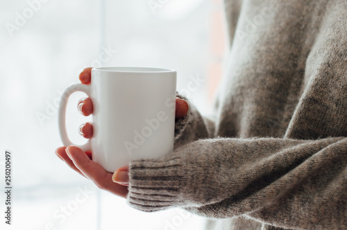 Close up of women's hands holding white mug with blank copy space scree for your advertising text message or promotional content, sweet coffee or tea.