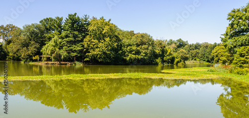 Reflection in the lake in Prospect Park, Brooklyn, New York, USA