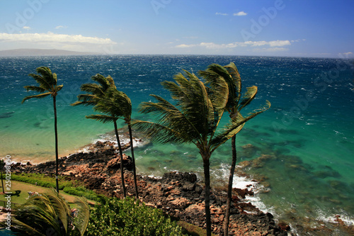 Maui shoreline during afternoon tradewinds